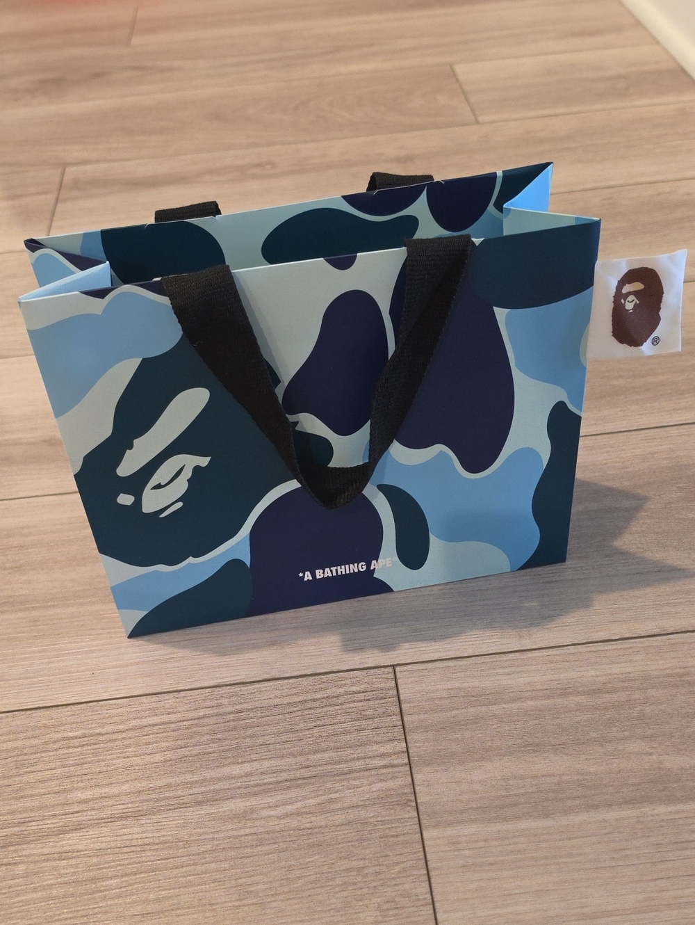 A Bathing Ape Gift Bag